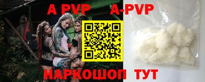 мдпв Кингисепп