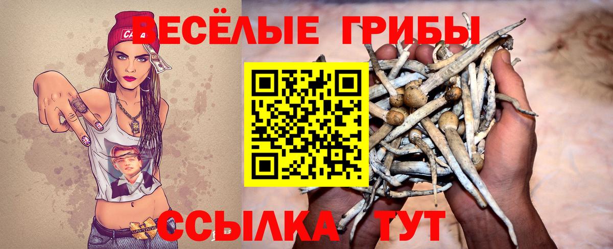 Галлюциногенные грибы мицелий  Вход с VPN  купить наркотики цена  Черняховск 